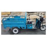 Electric Tricycle IRET13