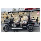 Electric Golf Cart SDLGC100