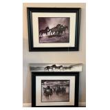 Wild Horse Prints