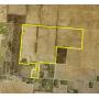 163 Acres Miami County Farmland Auction