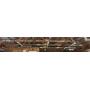 Trailers, Equipment & Collectibles Auction