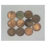 (11) Indian Head Pennies