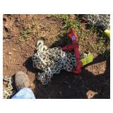 (2) UNUSED CHAINS & BINDER