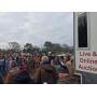 Year end consignment auction