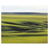 Lisa Grossman "Across the Prairie Watershed"