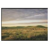 Scott Bean "Golden Light On The Prairie"
