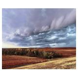 Casey Wilson "Flint Hills Storm"