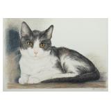 Grey 7 white Cat Contï¿½ Drawing. Signed