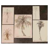 5 Paulina Everitt Palm Tree Sketches