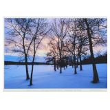 Rick Stare 'Blue Snow' Photogragh