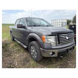 2011 Ford F150 Flex Fuel