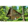 5+ Acre Woodland Retreat 4000+ sq Ft Home