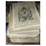 American Agriculturist 1880