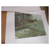 Weyerhauser wildlife portfolio animal prints