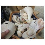 shell lamp beach shells in basket natural sponges