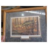 big buck framed print Cynthie Fisher