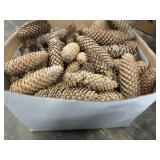 box dried pinecones great for crafting or decor
