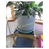 peace lily on small table