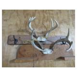antler mounts wall decor more in pail