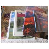 assorted books travel