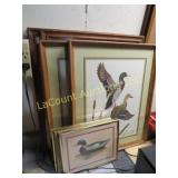 framed Duck prints