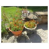 garden pots planters w flowers