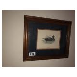 Harlequin Duck framed