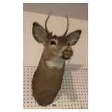 Deer head