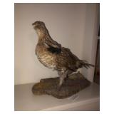 Grouse