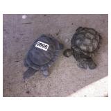 2 garden turtles