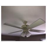 Hunter ceiling fan