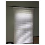 Blinds X2 (WILL NEED REMOVED)