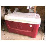 Igloo Cooler
