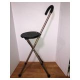Folding cane seat