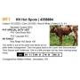 2023 Eastern Ohio Shorthorn Association Fall Sale