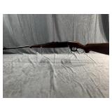 Savage Model 99