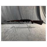 Remington Nylon 22 Semi Auto