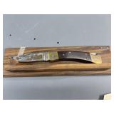 Folding buck 110 knife with display