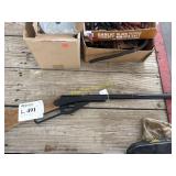 Daisy Buck BB rifle