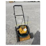 Yardman 20' Pushmower