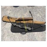 Two bows and gun cases