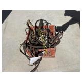 Bridles and Martingales