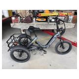 Mok wheel E-Trike   ARENA
