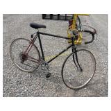 Adult bike