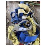 SALA Harness