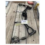 Compound Bow