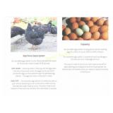 Gibson Ridge Farm Portable egg washer
