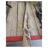 pellet gun   RWB