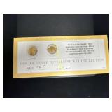 1928 Golden silver buffalo nickel collection   TM