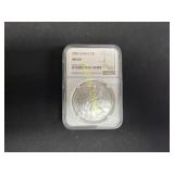 2006 Silver Eagle